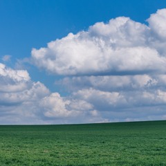 Non Theme 20 - Green Fields