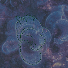 Rébecca Bonté - La fin du début