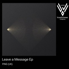 PREMIERE: PiNG (UK) - Leave a message [VAC039]