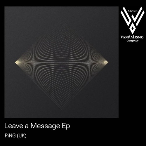 PREMIERE: PiNG (UK) - Leave a message [VAC039]