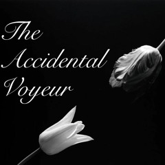 The Accidental Voyeur