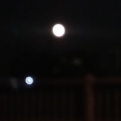 Dyed in the Wool (Prod. Reasy Beats)