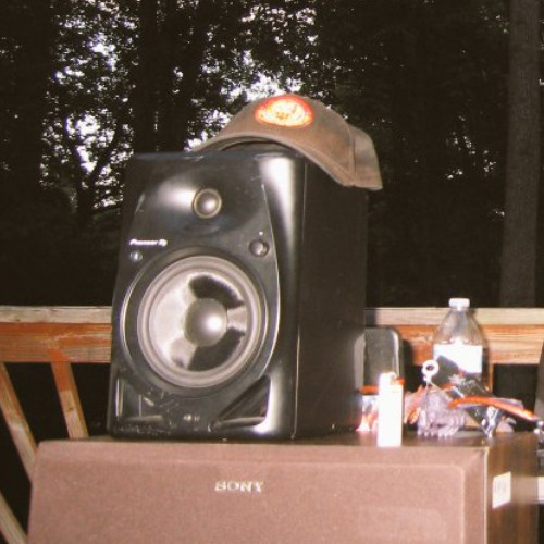 locust @ roshi freaquel 5/22/25