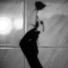 display feat. stevun