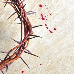 من أنا لأصير من شعبك + باركي يا نفسي الرب - خدمة السماء على الأرض - مصر