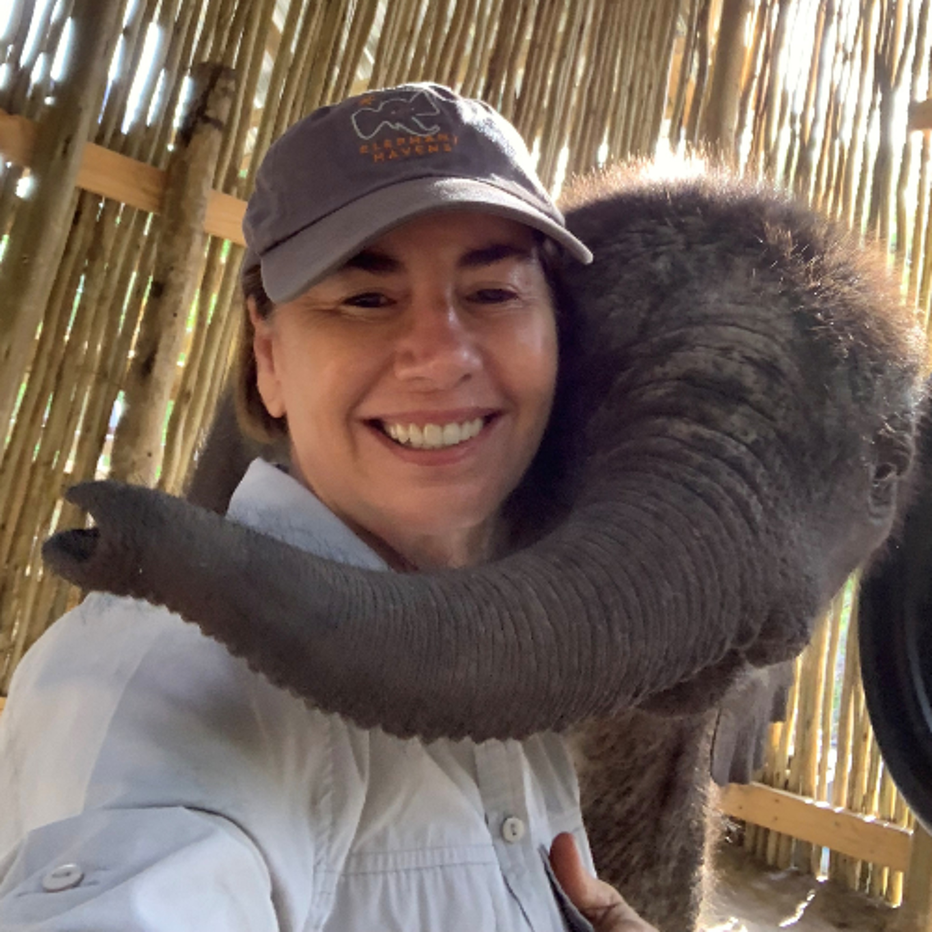 621. Elephant Havens: Debra Stevens on Her Work Rescuing Baby Elephants