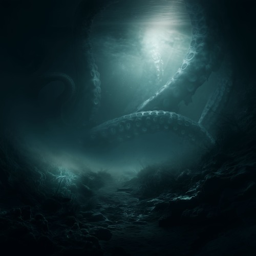 zwyrg - Polarity