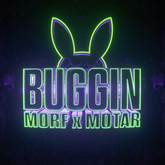 MORF X MOTAR - BUGGIN