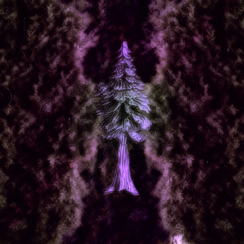 Second Life