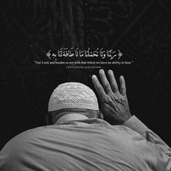 ( لا يكلف الله نفسا إلا وسعها.. )