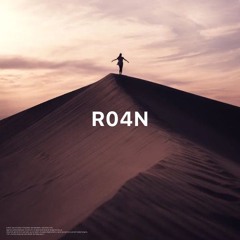 R04N