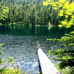 Green Pastures (Psalm 23) - Worship Piano Ambient