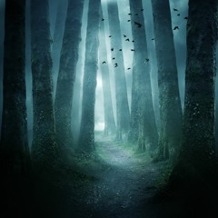 Chapter 15 | The Forbidden Forest