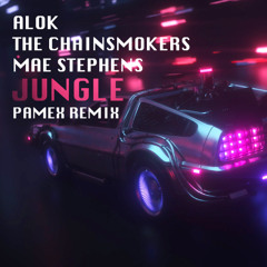 Alok, The Chainsmokers & Mae Stephens - Jungle (Pamex Remix)