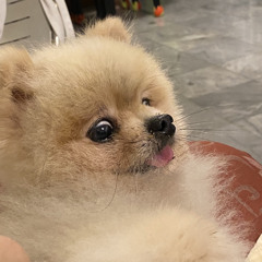 คนไม่มีสิทธ์