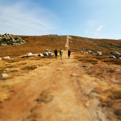 Caminar Con Jesús (Lc 8,1 - 3)