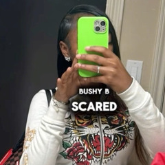 Bushy B-Scared(Sped Up).mp3