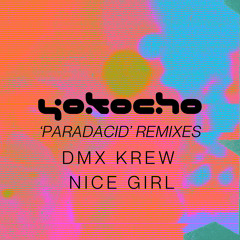 Paradacid (Nice Girl Remix)