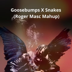 DJ Snake vs Travis Scott - Goosebumps X Snakes (Roger Mask Mashup) (Anticopyright)