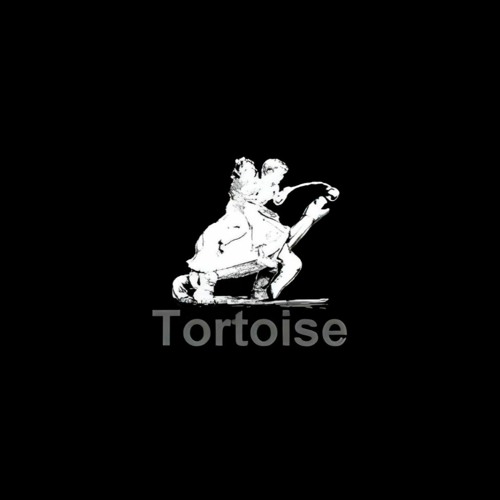 Tortoise