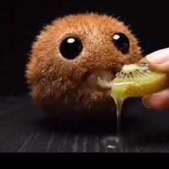 hazetomika - templom egere (twitch live)