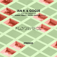 Ian R. & Gogue - Kunk (Original Mix) (Snippet)