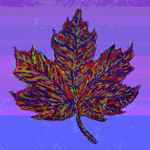 Maple Bumps Vol 2