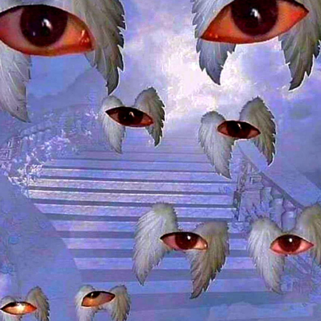 WHITE WINGS FREESTYLE (prod. glossalia)
