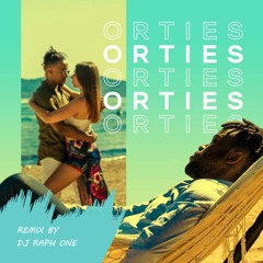 Orties - By Dj Raph One (mastered)