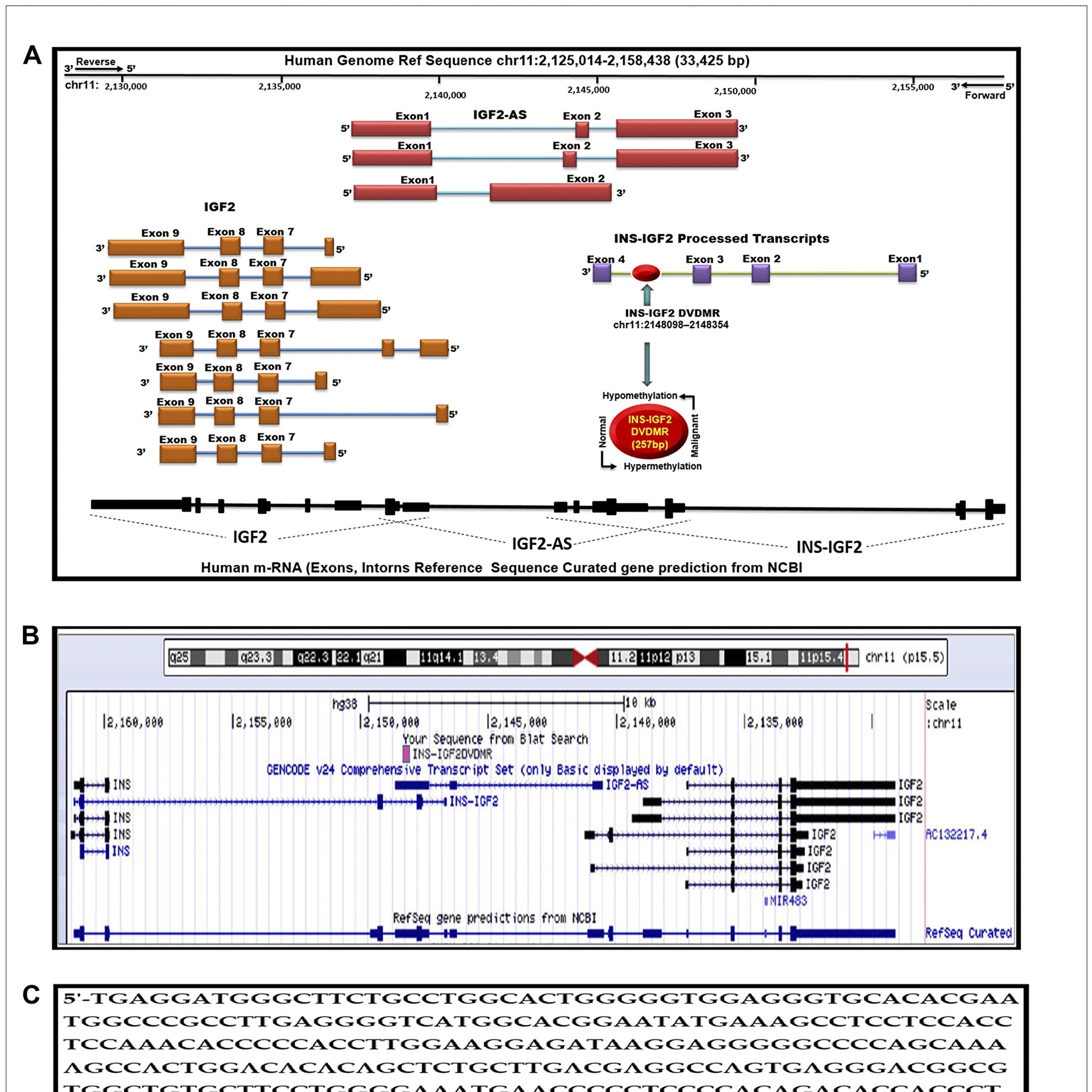 Oncotarget