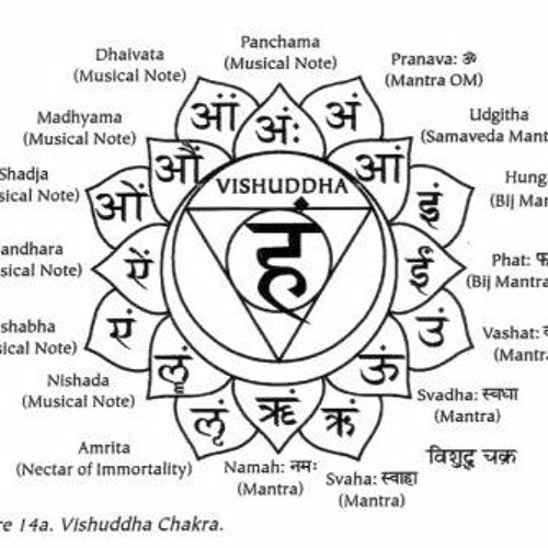 Matrikas x20