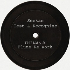 Test & Recognise - Seekae & Flume (THELMA Rework)