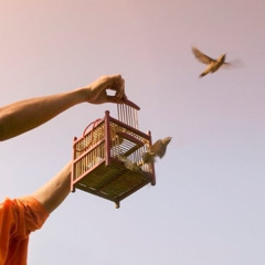 «История души» Лекция. Дмитрий Петров. Новосибирск