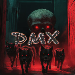 DMX Tribute