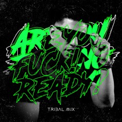 ARE YOU FUCK!NG READY? [Tribal Mix] feat. Luis de la Fuente