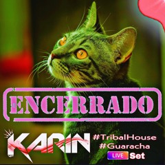 Encerrado - Dj Karin Vip - TribalHouse Live Set