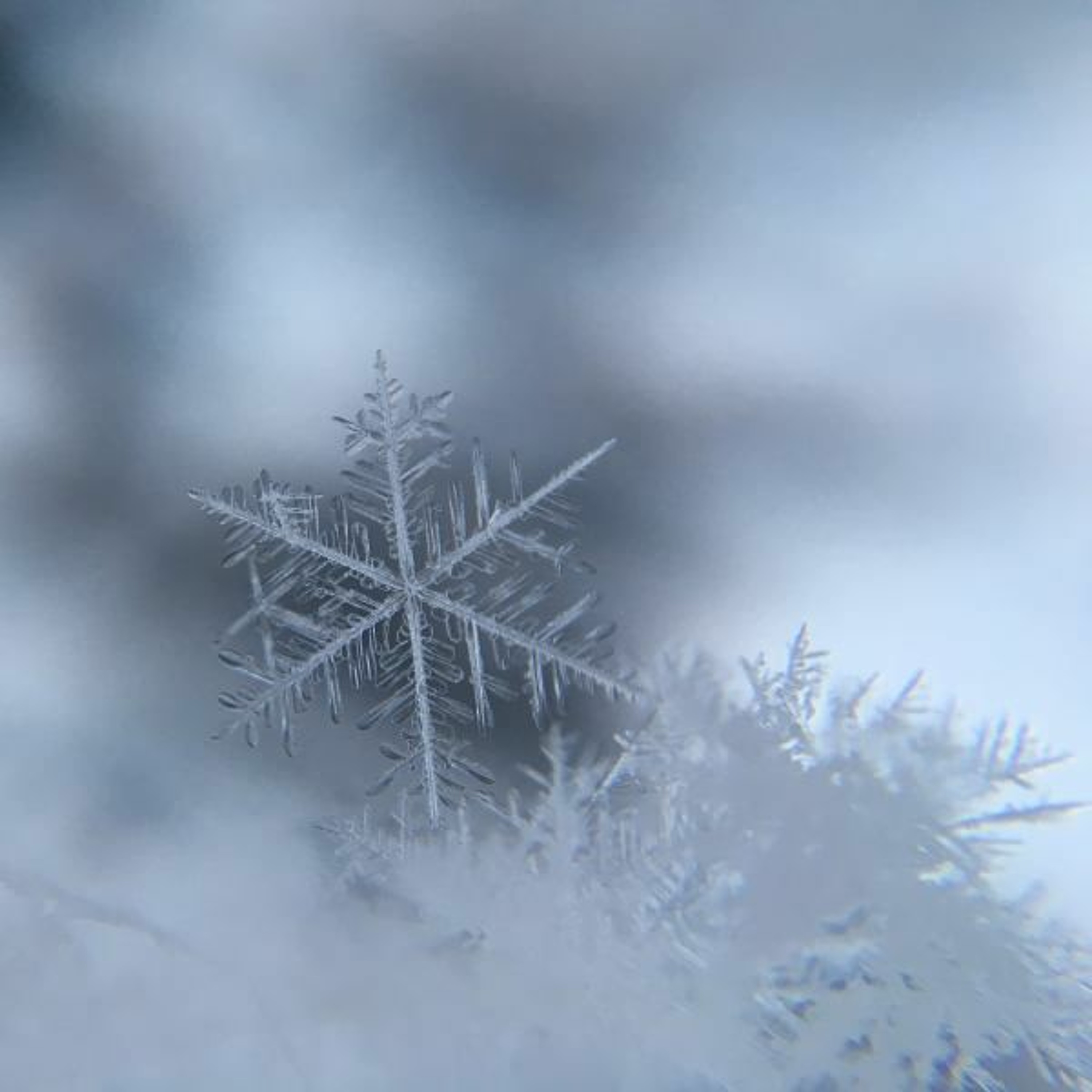 16 See Amid The Winter's Snow episode artwork