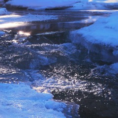 Gentle Winter Creek In Yellowstone (75 Minutes)