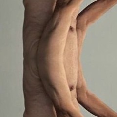 conditioned days of pavlov