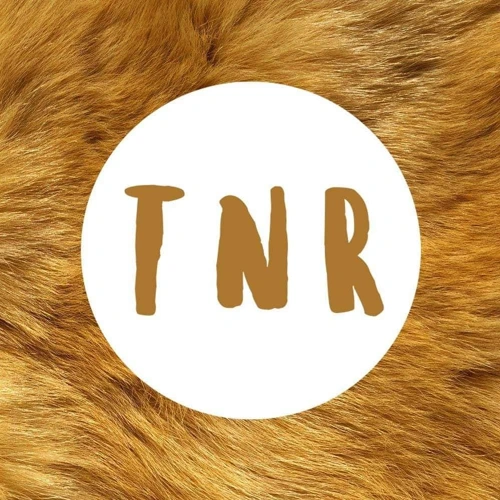 Soundcloud podcast image for