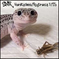 SNIR - HARDTECHNO/PSYTRANCE 0725