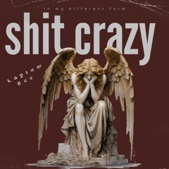 Shit crazy