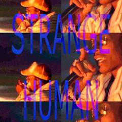 STRANGE HUMAN/SANDMAN REMIX