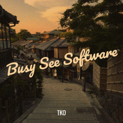 Busy See Software