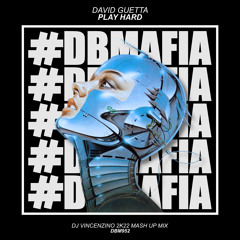 David Guetta - Play Hard (Dj Vincenzino Mash Up Mix)