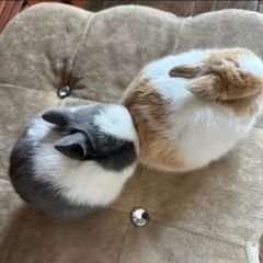 사탕맛 사랑 (糖果爱)