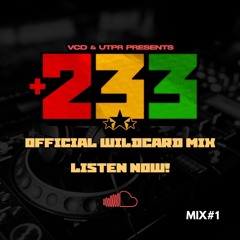 +233 WILDCARD MIX ENTRY 1
