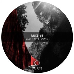 Ruiz dB - Last Trip B4 Covid (Original Mix)