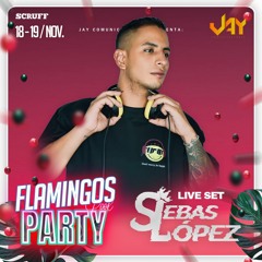 🦩 Set Flamingos Party Cali 2023 🦩 - 🦩 Live Set  DJ Sebas Lopez 🦩