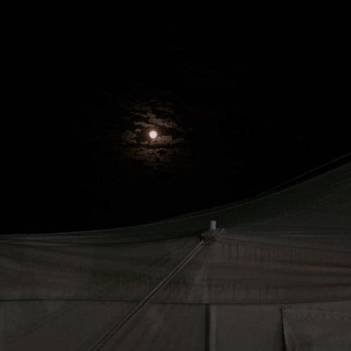 الراية البيضاء - عبدالله المانع